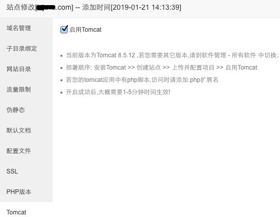 bt-panel-enable-tomcat.png